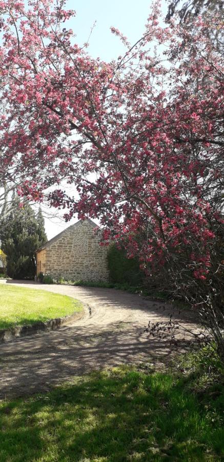 Chambres d'hôtes La Maison d'Après Charolles Exterior foto